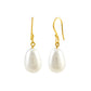 Striking Gem Stone Earring